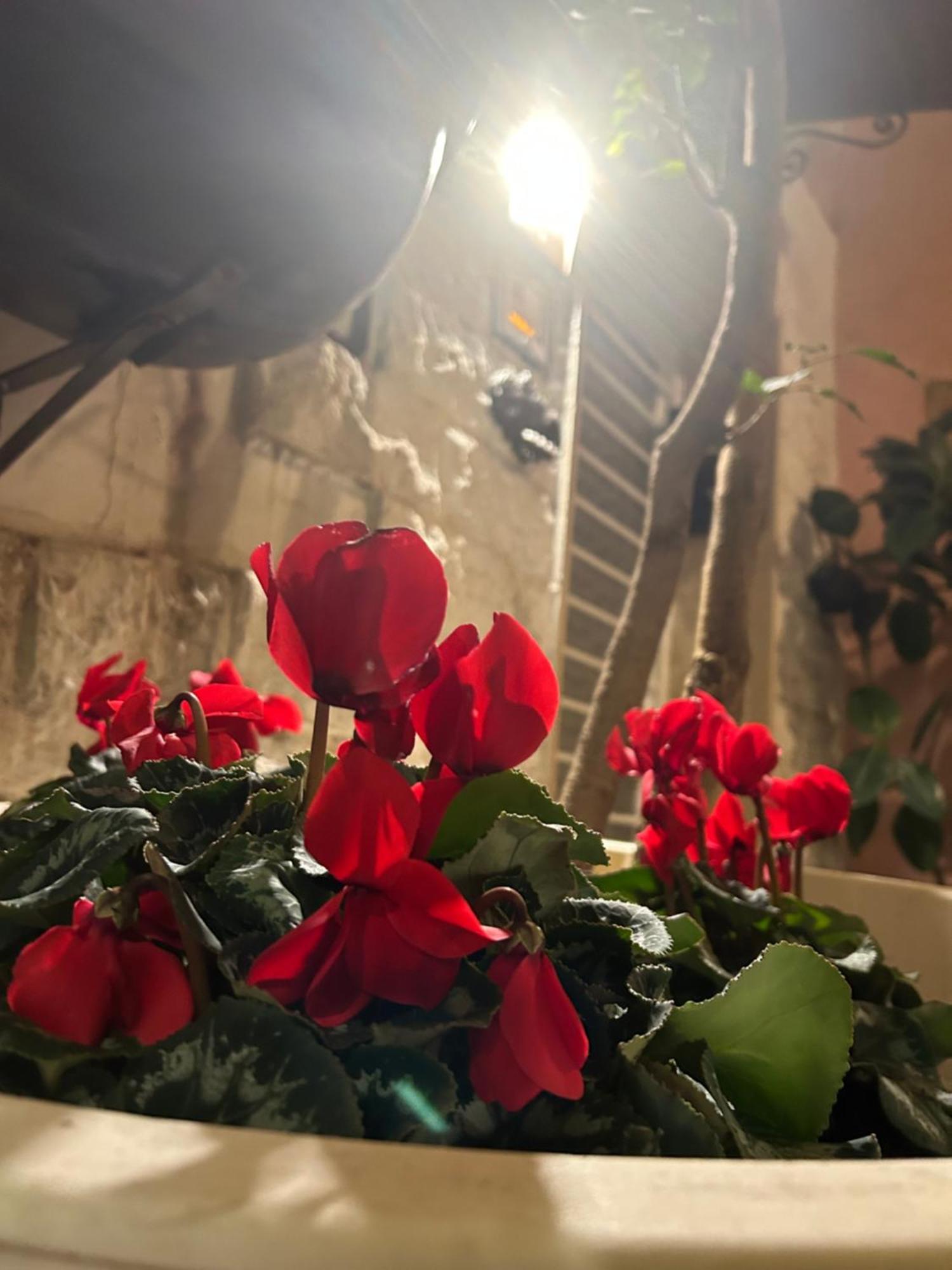 B&B Bari Vecchia R Ngoại thất bức ảnh